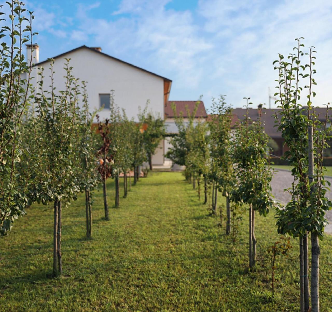 Agriturismo Corte Foscara مالكونتينتا المظهر الخارجي الصورة
